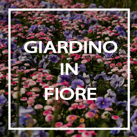 06-GIARDINO-IN-FIORE TredicesimaEssenza -GIARDINO IN FIORE