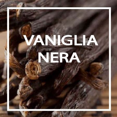 20-VANIGLIA-NERA TredicesimaEssenza - VANIGLIA NERA