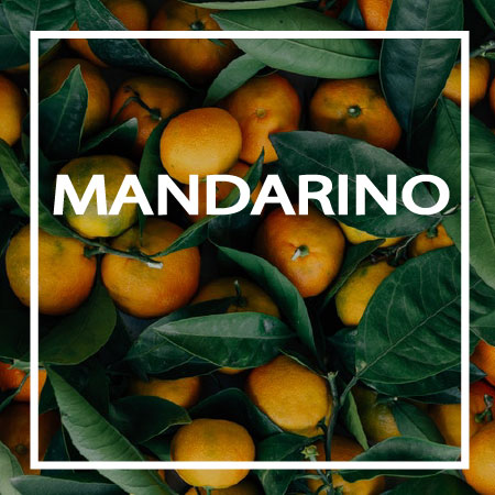 21-MANDARINO TredicesimaEssenza - MANDARINO