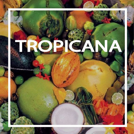 26-TROPICANA TredicesimaEssenza - TROPICANA